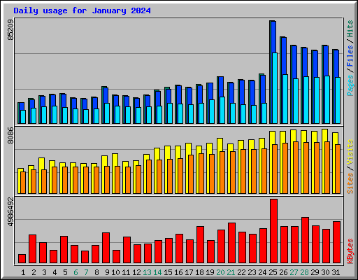 Daily usage for January 2024
