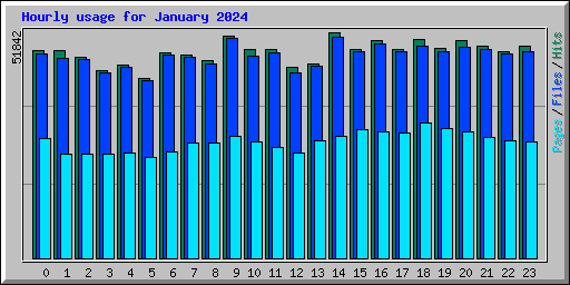 Hourly usage for January 2024