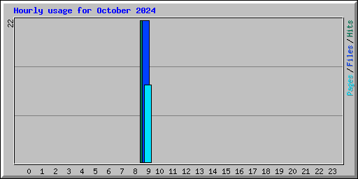 Hourly usage for October 2024