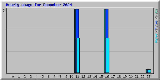 Hourly usage for December 2024
