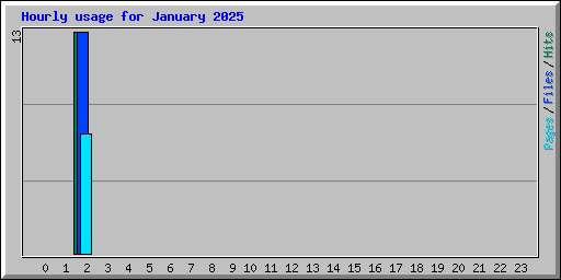 Hourly usage for January 2025