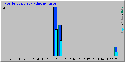 Hourly usage for February 2025