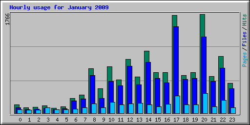 Hourly usage for January 2009